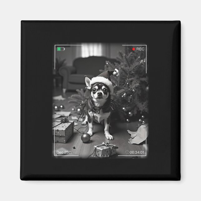Jul-Chihuahua fångad på kamera  Magnet (Framsidan)