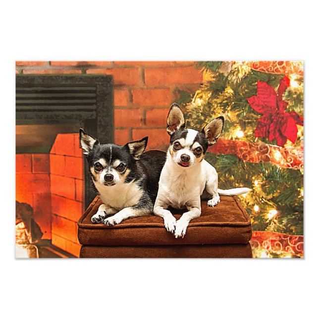 Jul Chihuahua Fototryck (Framsidan)
