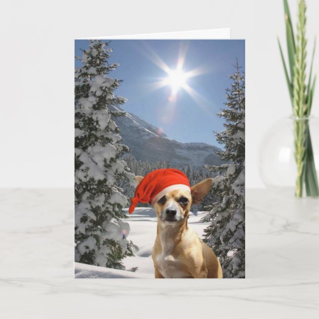 Jul Chihuahua Helgkort (Framsida)
