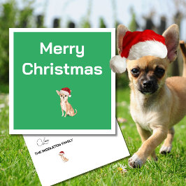 Jul Chihuahua Hund White Grönt Merry Hälsning