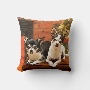 Jul Chihuahua Kudde