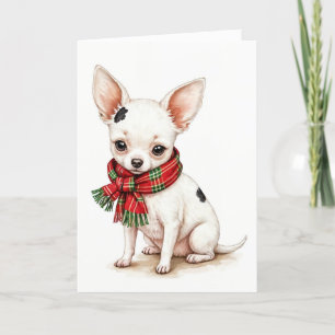Jul Chihuahua med vinter Scarf Kort