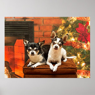 Jul Chihuahua Poster