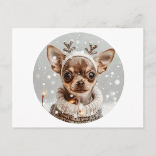 Jul Chihuahua Ren Hund Vykort