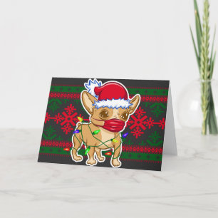 Jul-chihuahua som bär en medicinsk mask kort