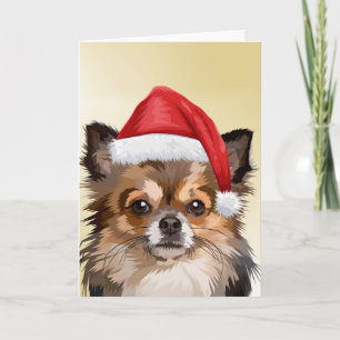 Jul-Chihuahua-valp med tomtehatt Kort
