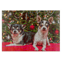 Jul Chihuahua's
