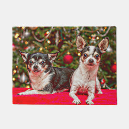 Jul Chihuahua's