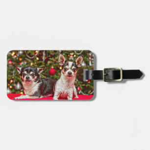 Jul Chihuahua's Bagagebricka