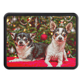 Jul Chihuahua's Dragkroksskydd