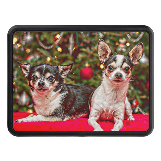 Jul Chihuahua's Dragkroksskydd (Framsidan)