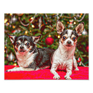 Jul Chihuahua's Fototryck