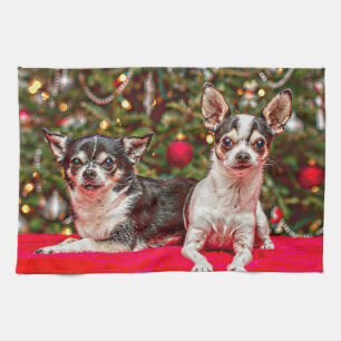 Jul Chihuahua's Kökshandduk