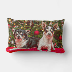 Jul Chihuahua's Lumbarkudde