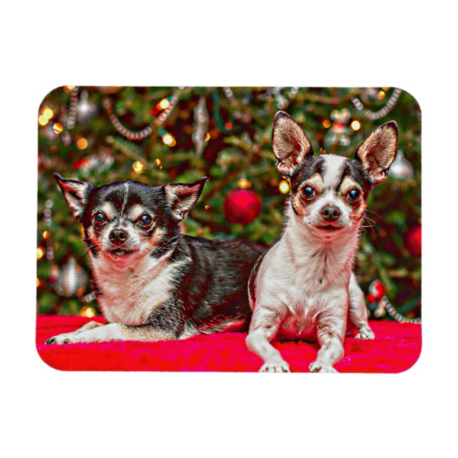 Jul Chihuahua's Magnet (Horisontell)