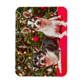 Jul Chihuahua's Magnet