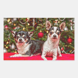 Jul Chihuahua's Rektangulärt Klistermärke