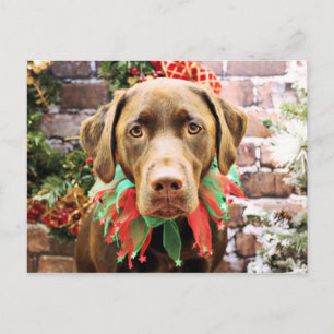 Jul - Chocolate Labrador - Hershey Helg Vykort