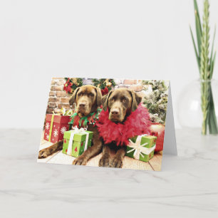 Jul - Chocolate Labrador - Hershey & Zena Helgkort