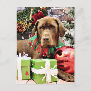 Jul - Chocolate Labrador - Zena Helg Vykort