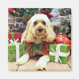 Jul - Cockapoo - kompis Magnet