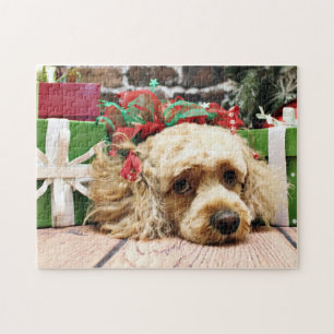 Jul - Cockapoo - Ruby Pussel