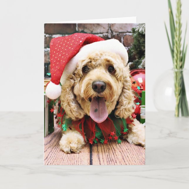 Jul - Cockapoo - Sadie Helgkort (Framsida)