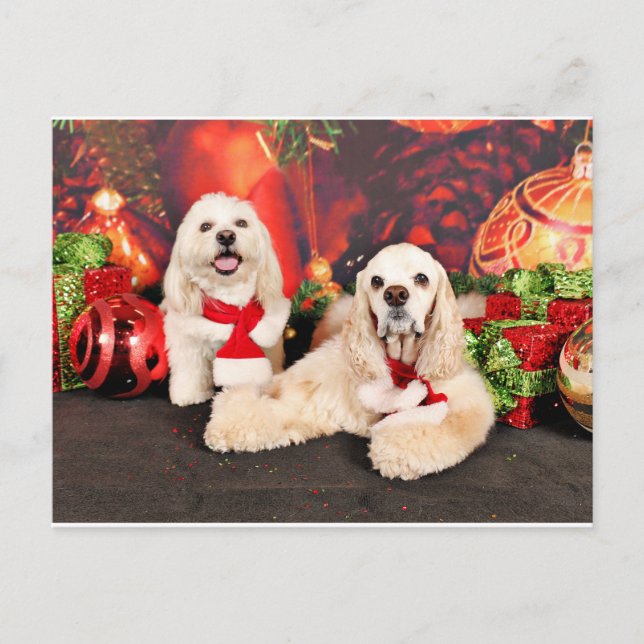 Jul - Cocker - Toby, Havanese - Little T Helg Vykort (Framsida)