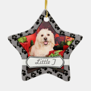 Jul - cockerspaniel - Toby, Havanese - lite T Julgransprydnad Keramik