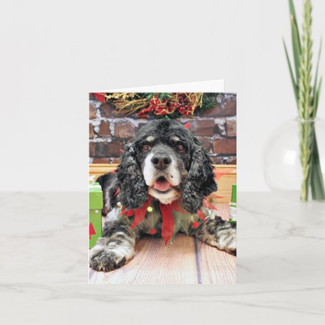 Jul - cockerspanielSpaniel - Harley Helgkort (Framsida)