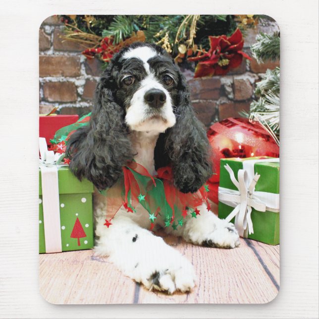 Jul - cockerspanielSpaniel - Laci Musmatta (Framsidan)