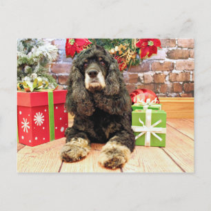 Jul - cockerspanielSpaniel - Marley Helg Vykort