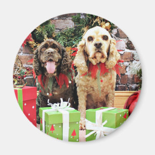 Jul - cockerspanielSpaniel - Murphy - Calvin Magnet