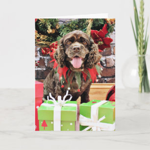 Jul - cockerspanielSpaniel - Murphy Helgkort