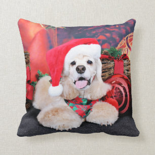 Jul - cockerspanielSpaniel - Tobey Kudde