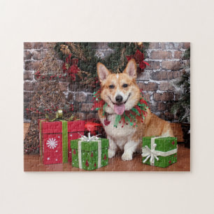 Jul - Corgi - Cal Pussel
