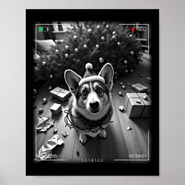 Jul-Corgi fångad på kamera  Poster (Framsidan)