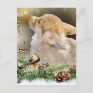 Jul Corgi Puppy Helg Vykort