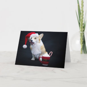 Jul-Corgi slickar läppar Kort