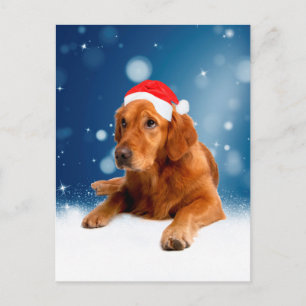 Jul Cute Golden Retriever Hund Santa Hat Snö Helg Vykort