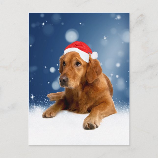 Jul Cute Golden Retriever Hund Santa Hat Snö Helg Vykort (Framsida)