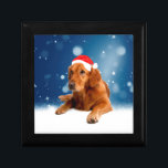 Jul Cute Golden Retriever Hund Santa Hat Snö Smyckeskrin<br><div class="desc">Cute Golden Retriever Hund jultomten Hat Snö stjärnor.</div>
