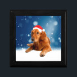 Jul Cute Golden Retriever Hund Santa Hat Snö Smyckeskrin<br><div class="desc">Cute Golden Retriever Hund jultomten Hat Snö stjärnor.</div>