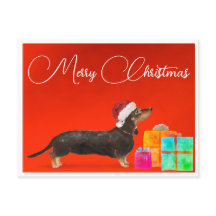 Jul Dachshund Hund God jul
