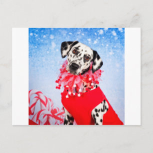Jul Dalmatien Helg Vykort