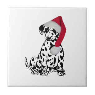 Jul Dalmatien Kakelplatta