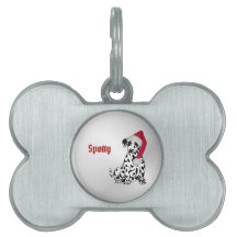 Jul Dalmatien Silver Namn