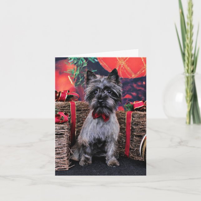 Jul - Dexter - Kairn Helgkort (Framsida)