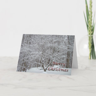 Jul Dogwood Träd i Snö Helgkort