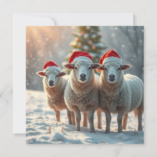 Jul får julkort